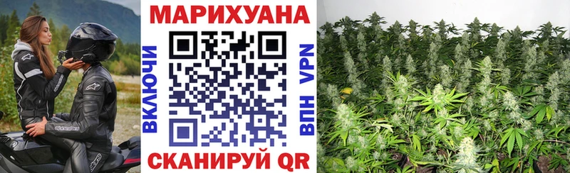 Бошки Шишки планчик  Медногорск 